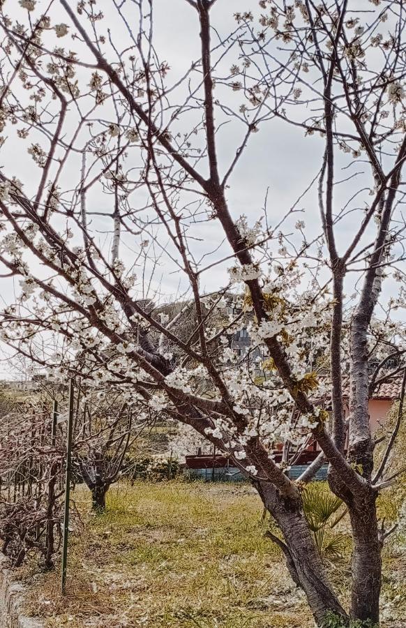 Casa Peidaigo Immersa Nel Verde,Vista Mare E Monti Vintimille Extérieur photo