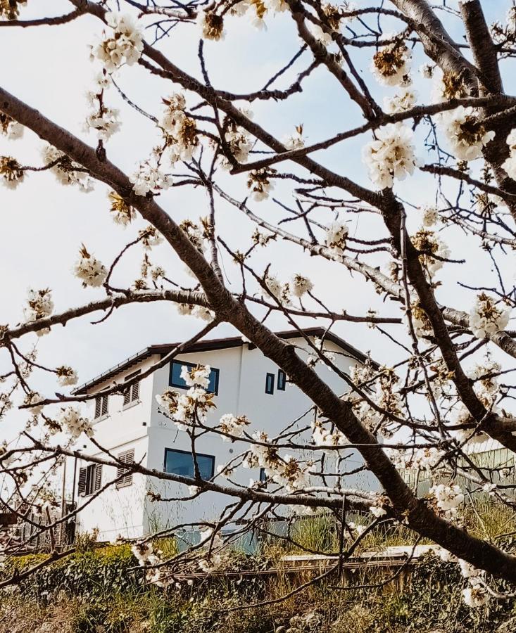 Casa Peidaigo Immersa Nel Verde,Vista Mare E Monti Vintimille Extérieur photo